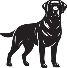 Bull dog vector in black and white