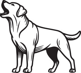 Bull dog vector in black and white