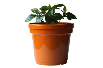 Fototapeta premium Orange biodegradable pot isolated on transparent background, png file, no background png file