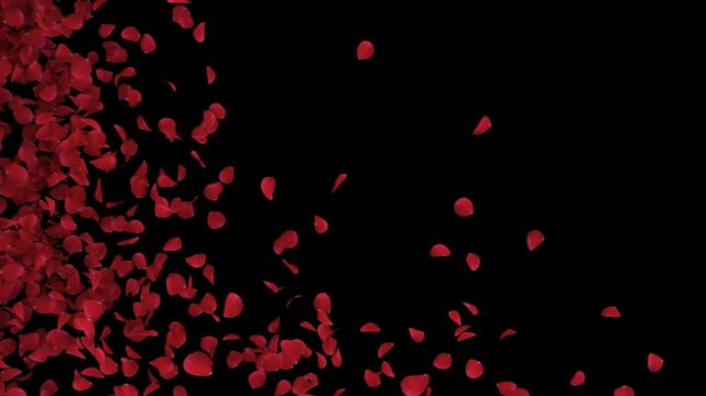 Red Rose Petals Transition on Alpha channel. 3D Rendering. Transition of red rose petal place on footage or background and easier to adjust colour.

