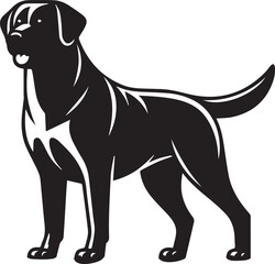 Bull dog vector in black and white