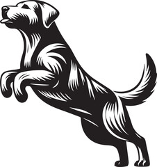 Bull dog vector in black and white