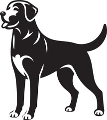 Bull dog vector in black and white