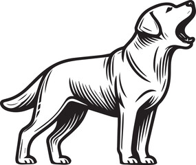 Bull dog vector in black and white