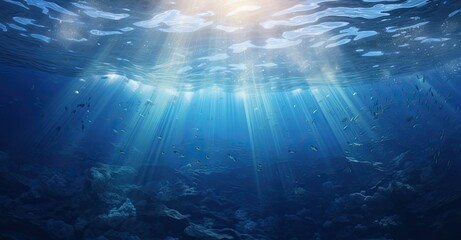 Fototapeta premium Sunlight beams through clear water, revealing fish and coral.