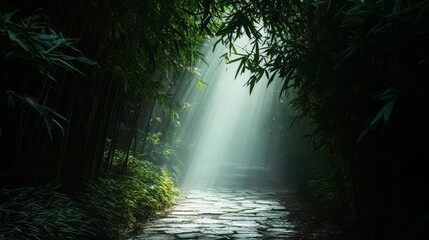 Serene Bamboo Pathway