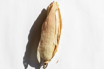 Dried corn husk casting a shadow on a white background, symbolizing autumn harvest and sustainable farming practices