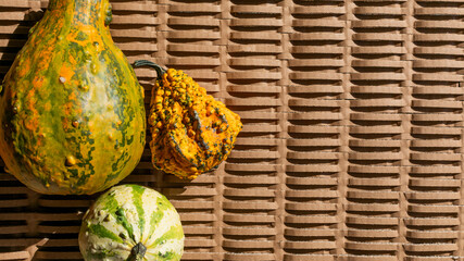 Three colorful gourds on a woven mat, symbolizing the autumn harvest season and Thanksgiving...