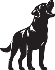 Bull dog vector in black and white