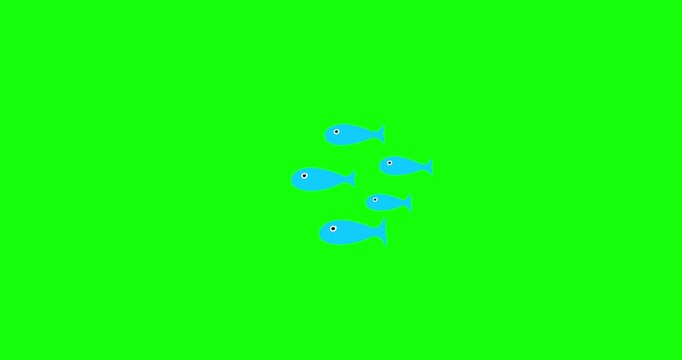 Many little blue fish swimming from right to left greenbox. School of small fish. Cartoon business metaphor. Seamless loop green screen.
