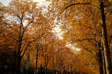 Obraz premium Paris, France