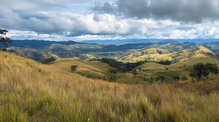 Serene Landscape of Rolling Hills
