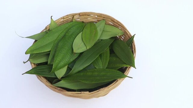 Closeup of Raw Bay Leaf or Tejpatta in a Bamboo Basket Isolated on White Background, Also Known as Malabar Leaf or Indian Bay Leaf