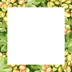 white square frame with Watercolor grape brunches and green leaves, fresh white and pink berries, illustration of ripe grapevine, border for card, food and drink theme on green background