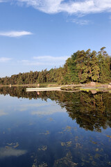 Fototapeta premium The coast of the Gulf of Finland in wonderful summer sunset
