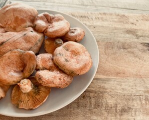 Orange mushroom on the wooden table freshly harvested from the forest. Lactarius deliciosus. 