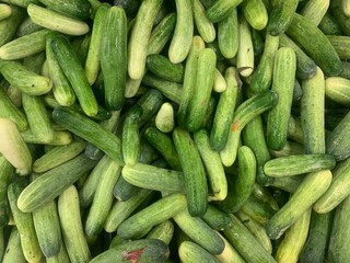 Cucumbers top view, greenhouse cucumbers, long cucumbers, vegetables harvest, food background. 