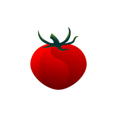 Tomato vector, fresh red tomato, red plant for food