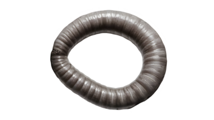 Earth worm in ring shape 