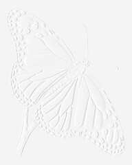 hand drawn butterfly