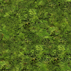 vegetation texture seamless