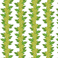 Seamless pattern leaves and fruits of hops. Hops herb plant for brewery of beer. Branch of hop. For the design of a poster, menu of a craft brewery