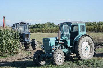 Fototapeta premium An old rural tractor collects a rich crop of corn from the field. Concept of agronomy and business. Combine harvester is working in the field