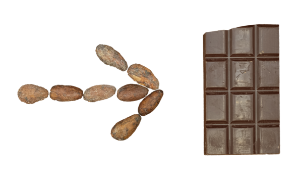 Cocoa Beans Arrow Shape. Broken Chocolate Bar. Bean-to-Bar Chocolate Making. Top view.
