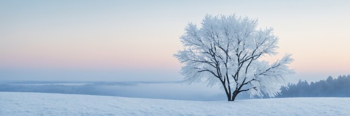 Fototapeta premium Frost-covered tree stands alone in snowy field at dawn