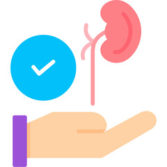 Kidney Donor Icon