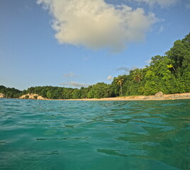 anse canot in evening light seen from the sea with copy space, Marie Galante, Guadeloupe. 