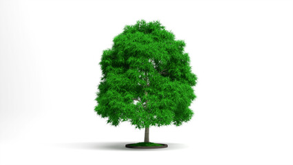 abstract tree with grass as leaves - 3d rendering