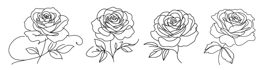 artistic monoline drawing of a rose showcasing natural beauty black vector