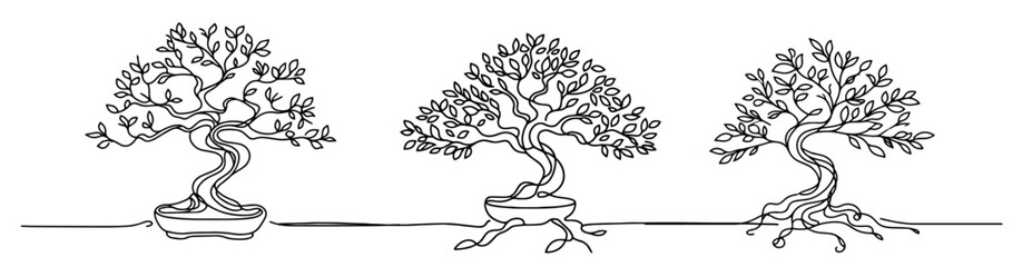 elegant monoline illustration of a bonsai tree in minimalist style black vector