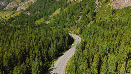 the car is driving along a mountain road in Altai