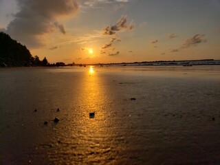 Sunset Over a Beach with Golden Reflections
