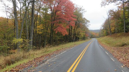 Fototapeta premium Scenic Autumn Road with Colorful Foliage