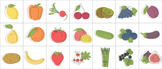 Set of fruits, vegetables and berries with vitamin C - flat vector illustration. Cartoon template for children's educational coloring books and packaging for juices and diet food.