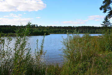 a lake with a duck in it and a blue sky with clouds in the background