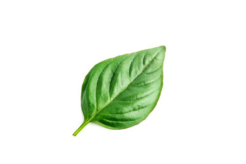 Fresh organic basil leaves, isolated on white background.