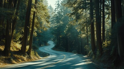 Fototapeta premium Serene Winding Road Through Lush Green Forest