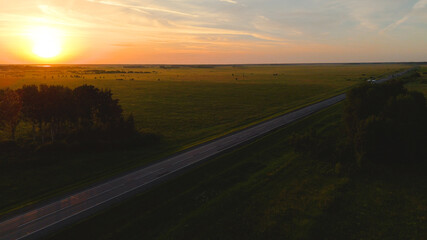cars and trucks are driving along the highway