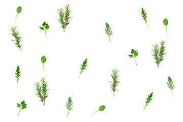 Set with various greens isolated on white. Parsley, arugula, rosemary, dill and spinach.