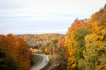 Naklejka premium Colorful tree leaves in mountainous landscape