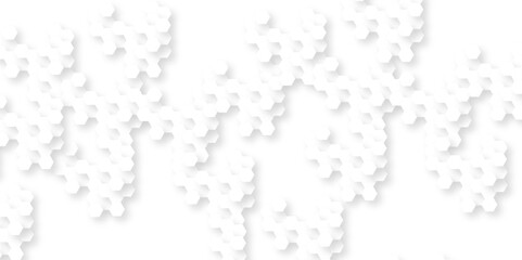 Background with hexagons . Abstract background with lines . white texture background . white and hexagon abstract background. white paper texture and futuristic business .