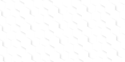 Background with hexagons . Abstract background with lines . white texture background . white and hexagon abstract background. white paper texture and futuristic business .