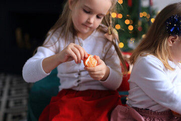 Anticipating Christmas: A Citrus Celebration. two little girls sitting in front of a beautifully...