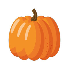 Ripe pumpkin isolated on white background. Vector.