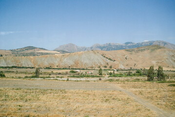 landscape with trees in the background In Sicily, southern Italy