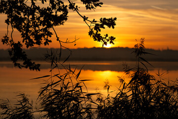 Pomarańczowy wschód słońca nad stawem. Tapeta, dekoracja. © mycatherina